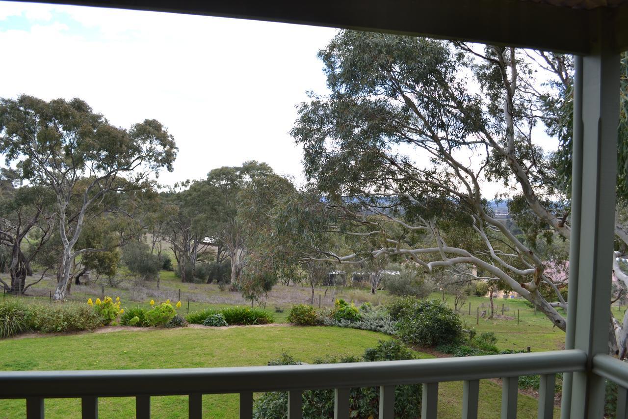 Angaston Saleyards Luxury Accommodation Eksteriør bilde