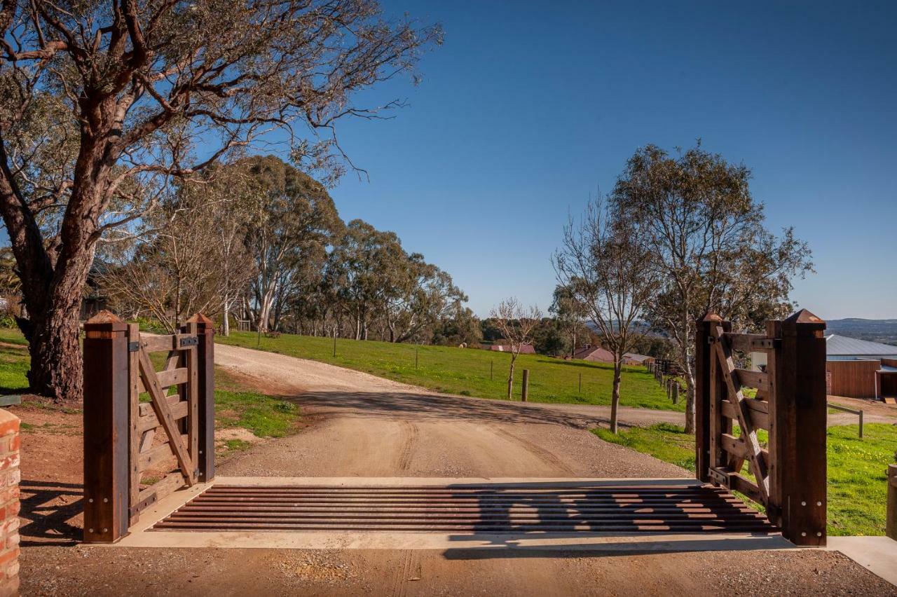 Angaston Saleyards Luxury Accommodation Eksteriør bilde
