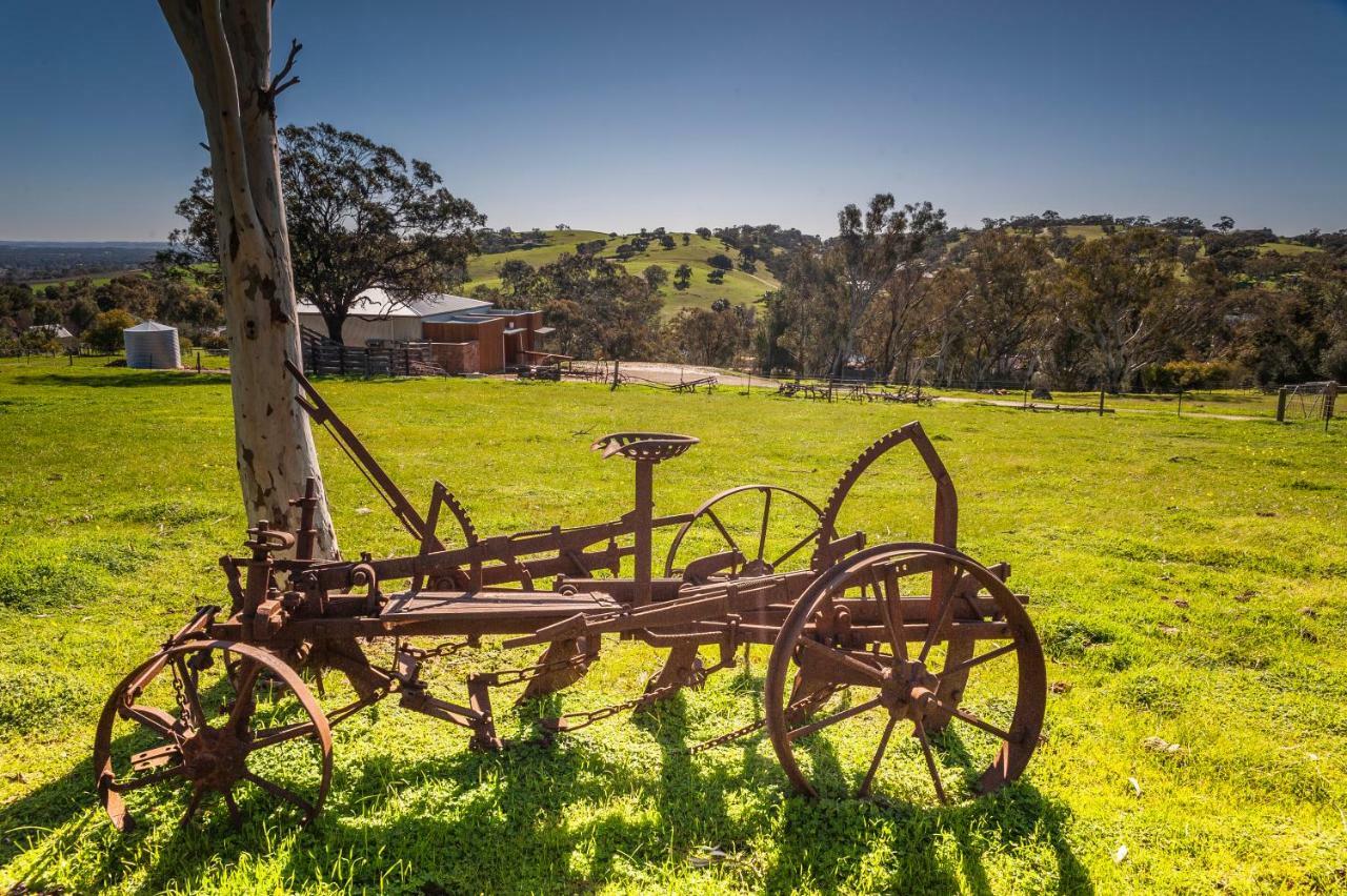 Angaston Saleyards Luxury Accommodation Eksteriør bilde